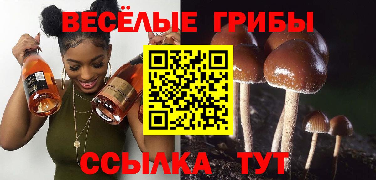 Псилоцибиновые грибы Psilocybe  Вход с VPN  Галлюциногенные грибы ЛСД  Дальнегорск 
